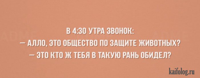 Открытки с жизненной мудростью (50 картинок) Открытки с жизненной мудростью (50 картинок)