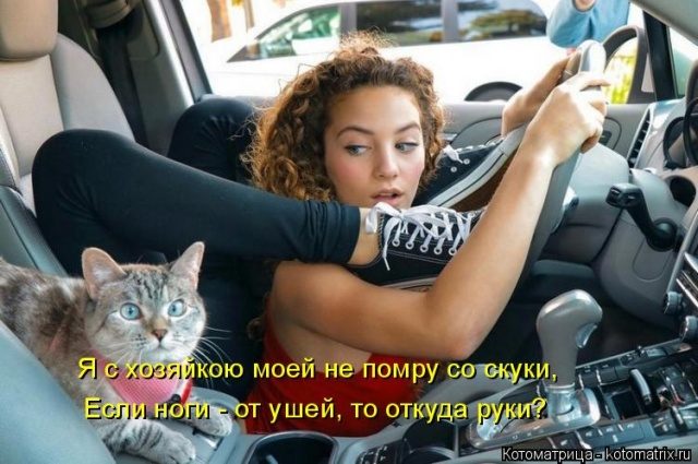Самые смешные котоматрицы для хорошего настроения) Самые смешные котоматрицы для хорошего настроения)