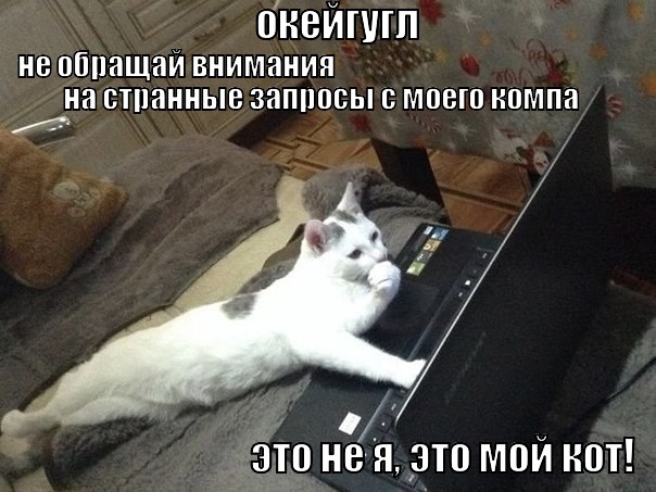 OK, Google! OK, Google! прикол, юмор
