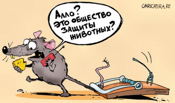      : "-!  ...".           -  : ",  .  " ()