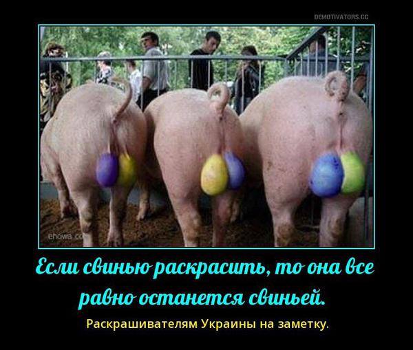 syavka-horosho-ebetsya