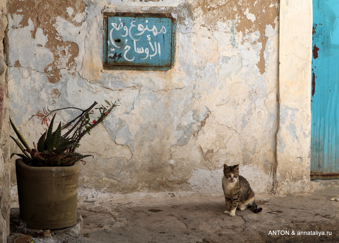 IMG_0485 (700x501, 268Kb)