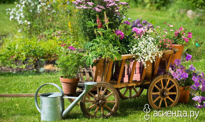 ������������ ������� � ����������� �����