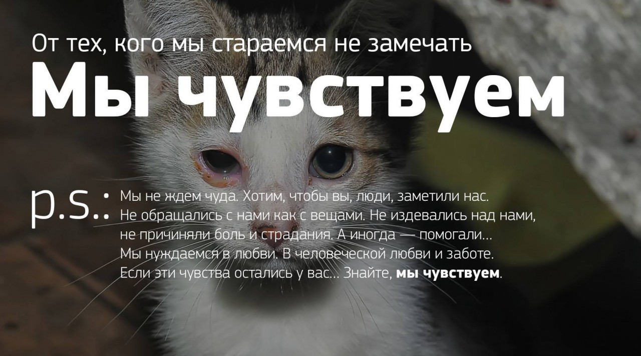 Мы чувствуем