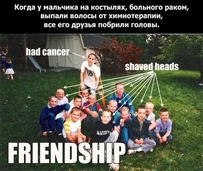 Дружба (18 фото)