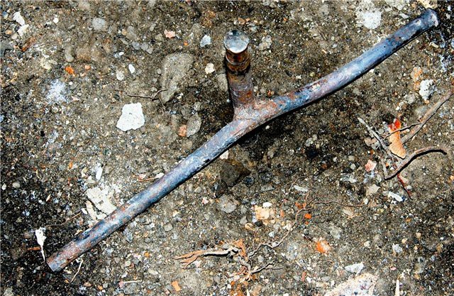 �������� ������� ���, ������, ����, �������