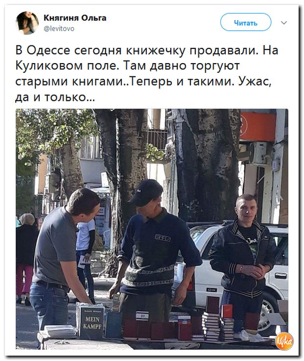 37.jpg