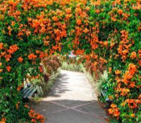 ����� ��� ���� � ����� �������� ������������� ������