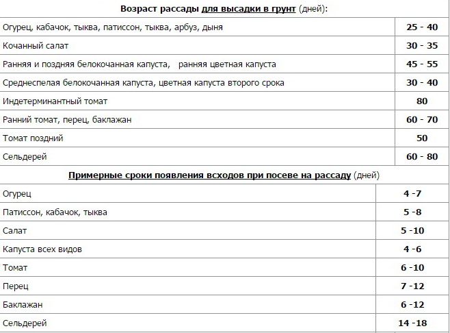 Почему теплолюбивые культуры выращивают рассадным способом?