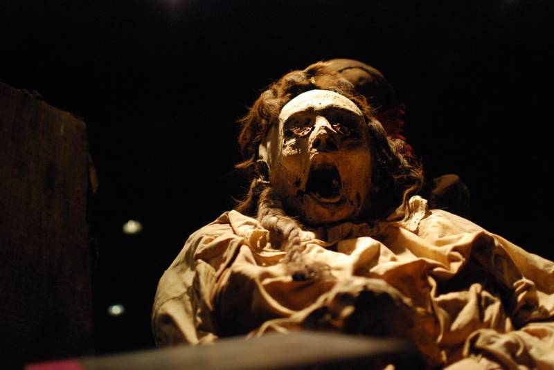 �������� ����� ����������