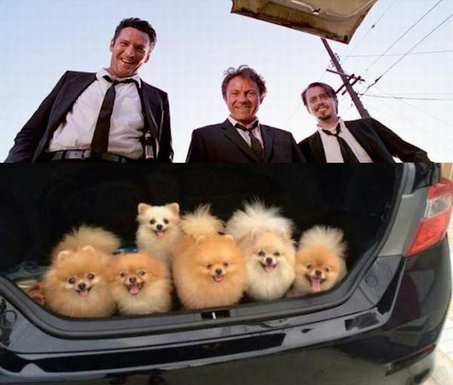 Подборка картинок Подборка картинок картинки, приколы