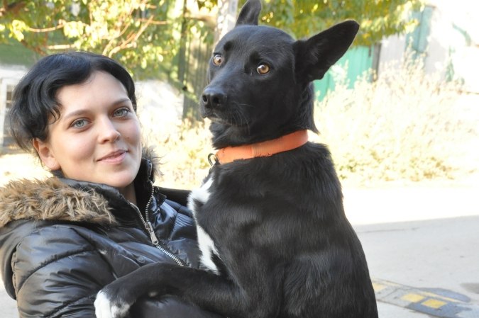 Хозяйка дворняги Шави, которая на сломанных лапах прошла 300 километров, отказывается от материальной помощи. Хозяйка дворняги Шави, которая на сломанных лапах прошла 300 километров, отказывается от материальной помощи.