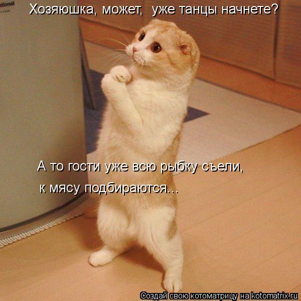 Котоматрица - Хозяюшка, может,  уже танцы начнете? А то гости уже всю рыбку съели,  