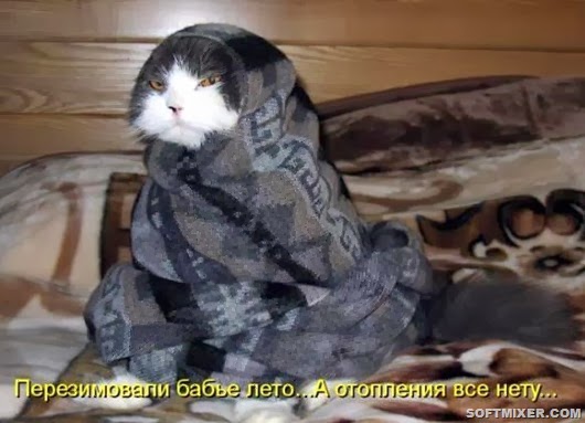 b738881f804a3686b3d3efe0c95_prev