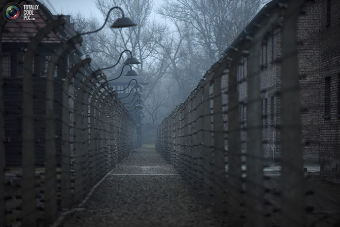 Освенцим в наши дни