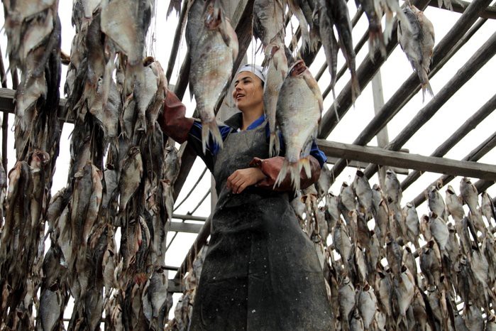 Астраханский рыбный промысел еда, солёная рыба