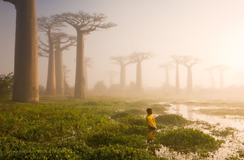 20 лучших фотографий года по версии читателей National Geographic 20 лучших фотографий года по версии читателей National Geographic