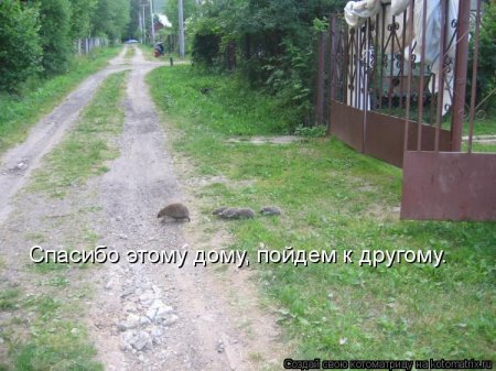 ��������� ����������� ������������..