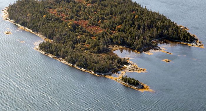 остров, квартира, сравнение, цена