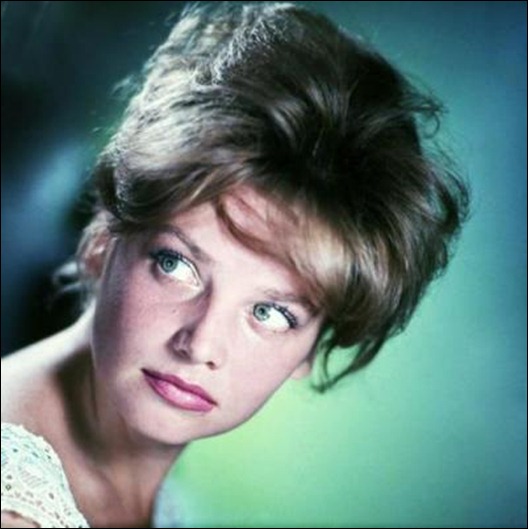 t4_2817830 t4_2817830