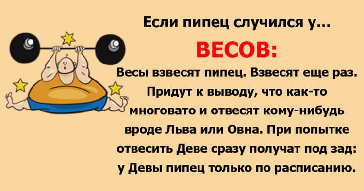 Весёлый гороскоп: как встречают трудности знаки Зодиака Весёлый гороскоп: как встречают трудности знаки Зодиака