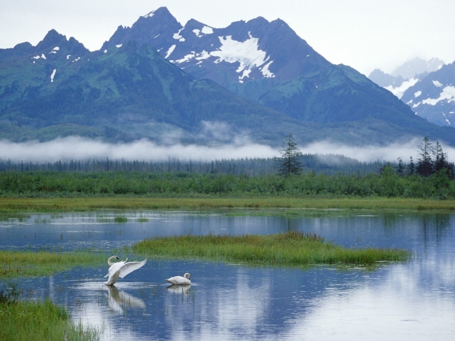 Аляска: таинственный полуостров