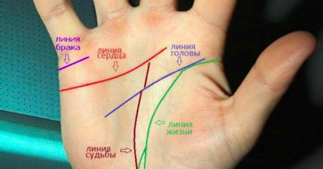 Ваши руки говорят: то, как расположена Линия Сердца, определяет все в вашей жизни