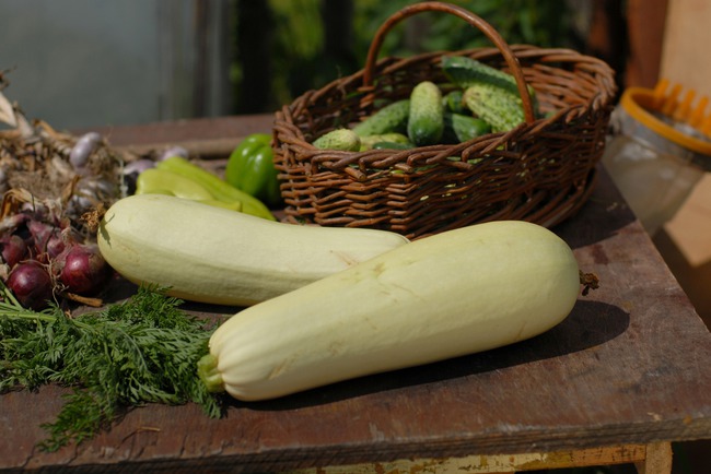 ��� ��������� ������� �� �����