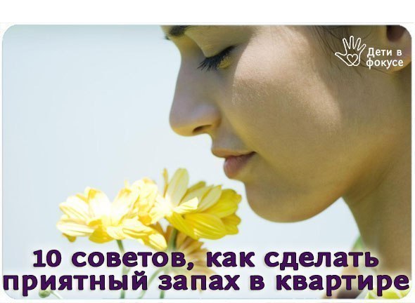 «Зубы к чему снятся во сне? Если видишь во сне Зубы, что значит?» Nokia: Не удаляются вызовы. Как полностью очистить список