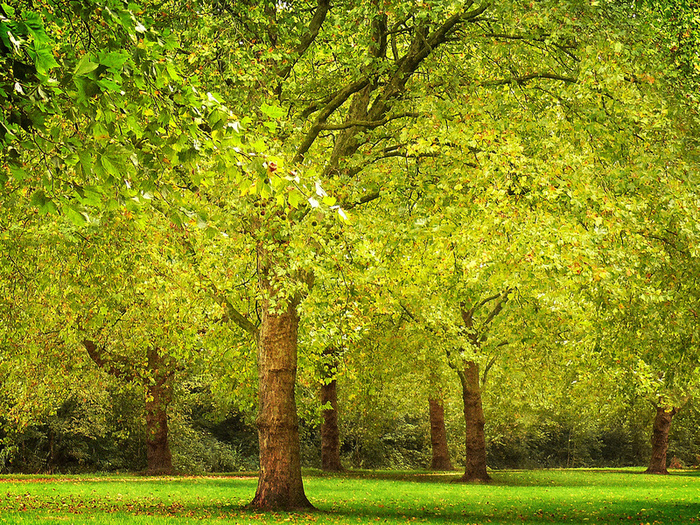     : Lars van de Goor