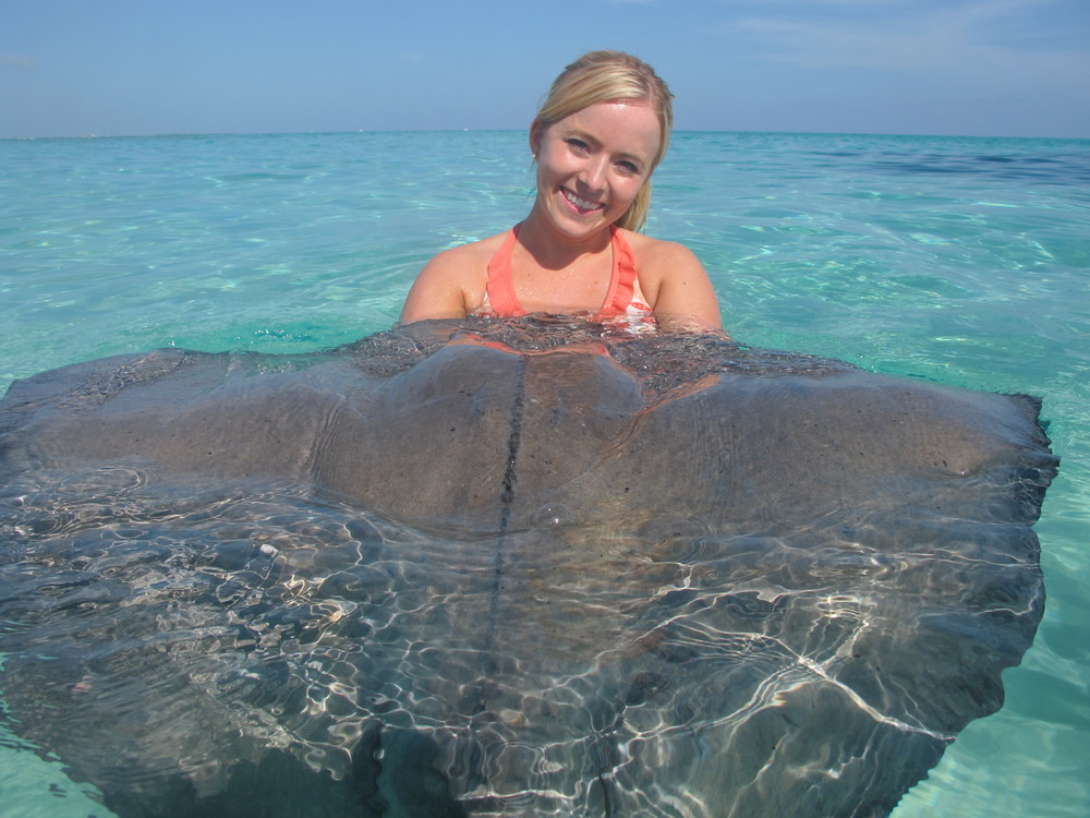 Stingray City, Grand Cayman