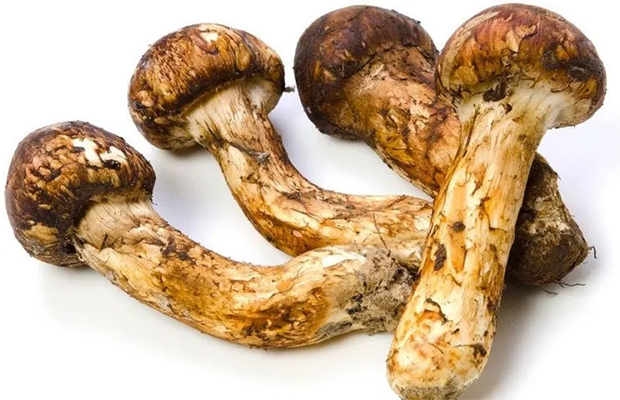 Самые дорогие продукты в мире