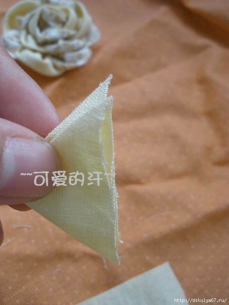 ����������� ������-��������� �� �����