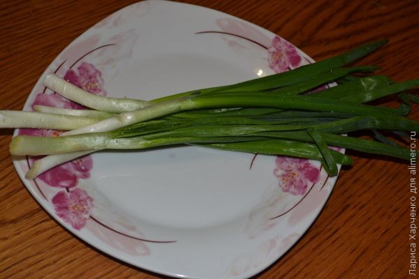 ������ �������