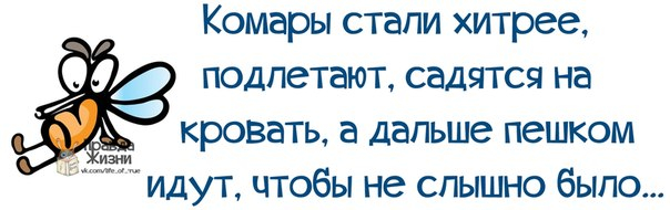 1378435178_frazochki-2 (604x190, 132Kb)