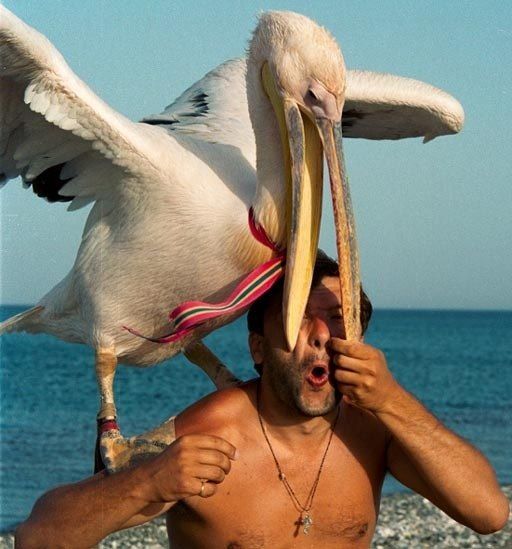 Больше, чем просто фото (50 фото)