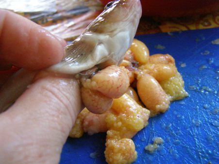 икра из бычка рецепт икра из бычка рецепт