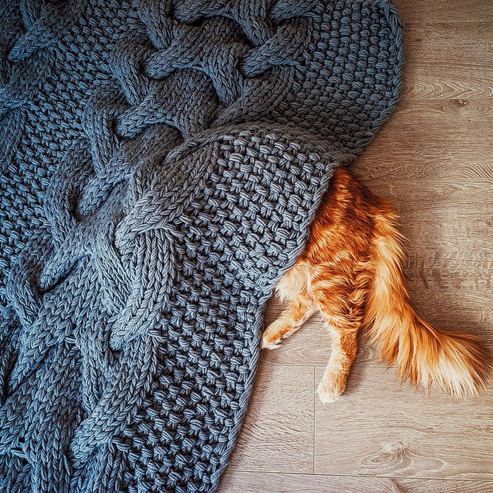кот