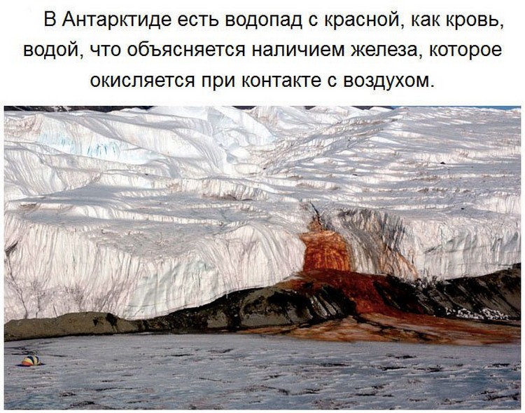 Невероятные факты о Антарктиде (27 фото)