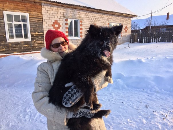 Это наш Фунтик... Счастливая история! животные, спасение
