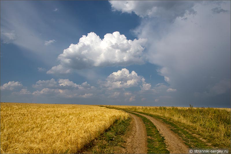 Небо в августе