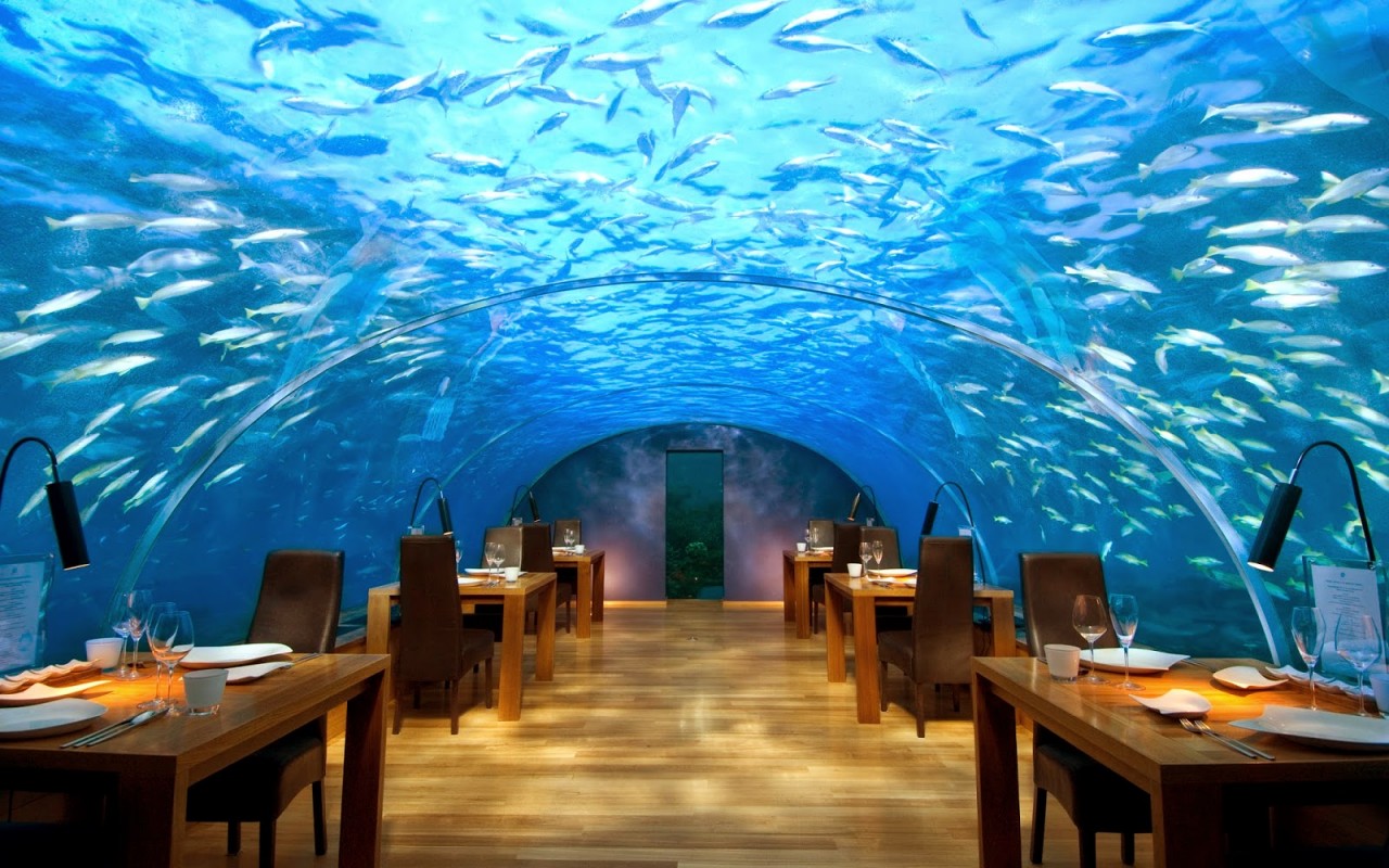 Conrad-Malvides-Underwater-Restaurant