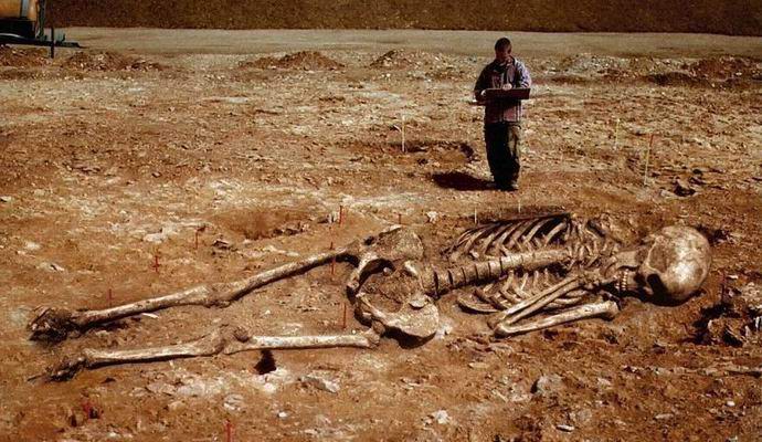 В Эквадоре откопали скелет семиметрового доисторического великана