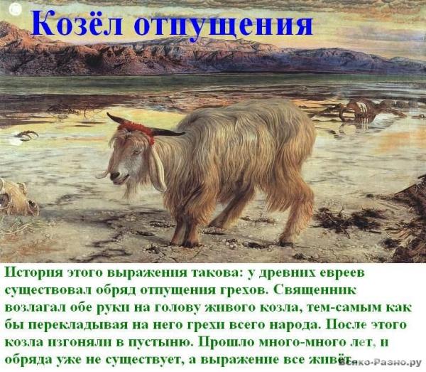 Хватит делать из России «козла отпущения», — лауреат Нобелевской премии мира