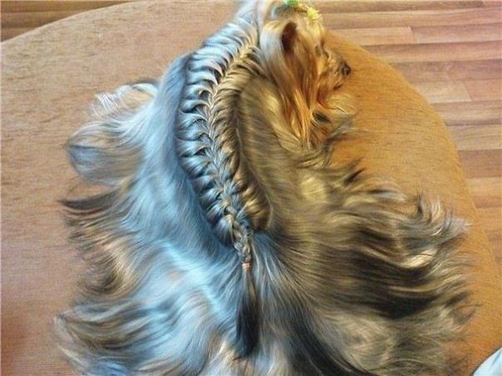 Французское плетение животные, коса