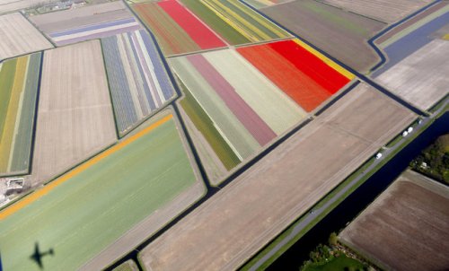 Парк Кёкенхоф – Сад Европы (11 фото)