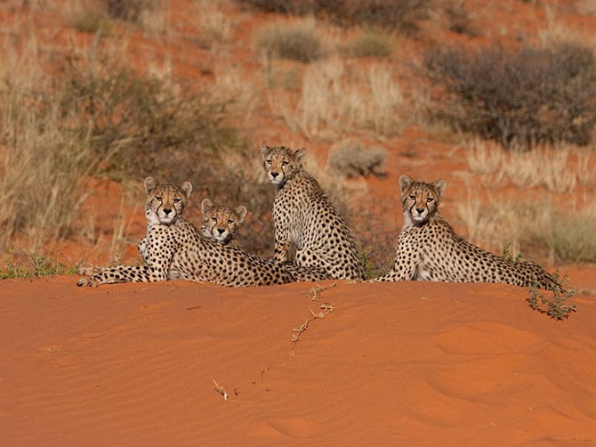 National Geographic: лучшие фотографии июля