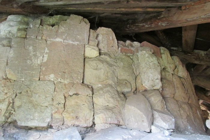 «Птичий архив» под крышей Успенского собора (48 фото)