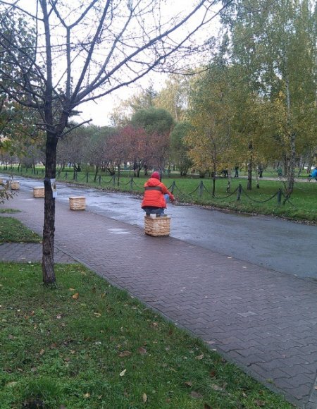 Люби котиков, фото приколы смотри.