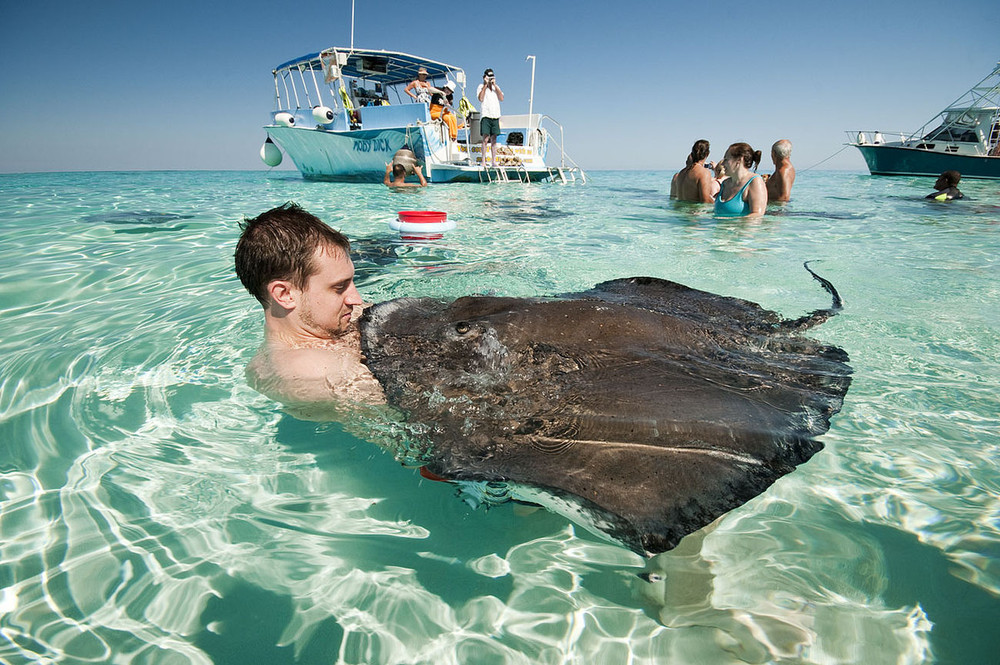 Stingray City, Grand Cayman